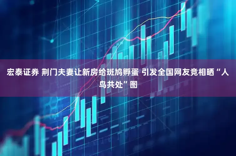 宏泰证券 荆门夫妻让新房给斑鸠孵蛋 引发全国网友竞相晒“人鸟共处”图