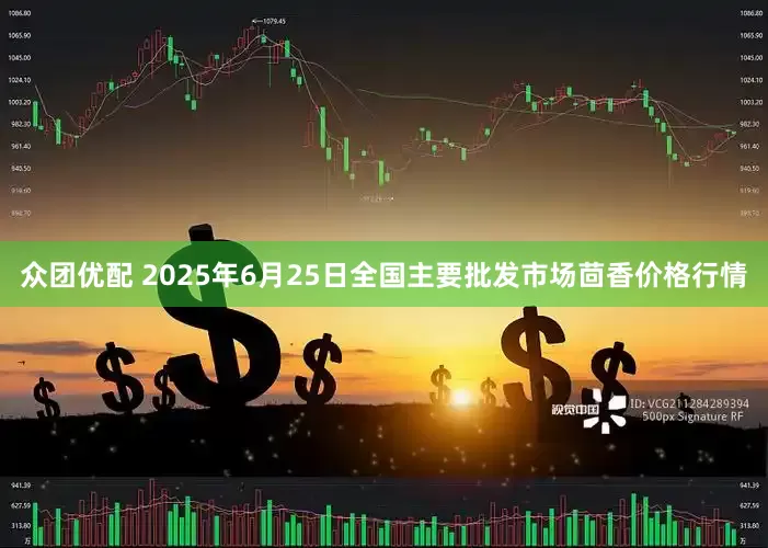 众团优配 2025年6月25日全国主要批发市场茴香价格行情