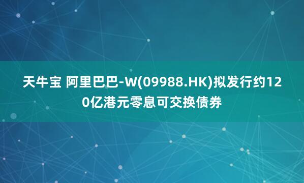 天牛宝 阿里巴巴-W(09988.HK)拟发行约120亿港元零息可交换债券