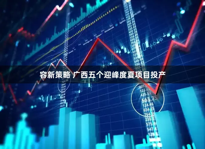 容新策略 广西五个迎峰度夏项目投产