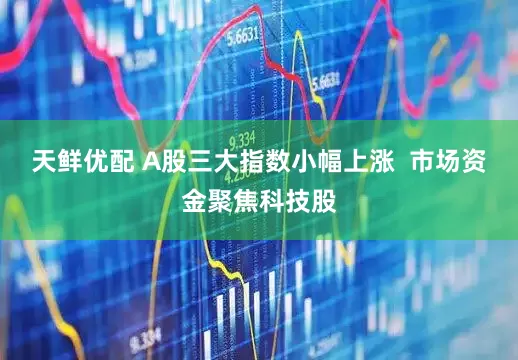 天鲜优配 A股三大指数小幅上涨  市场资金聚焦科技股